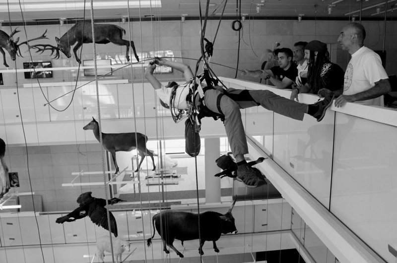 Posa animali nel BIG VOID