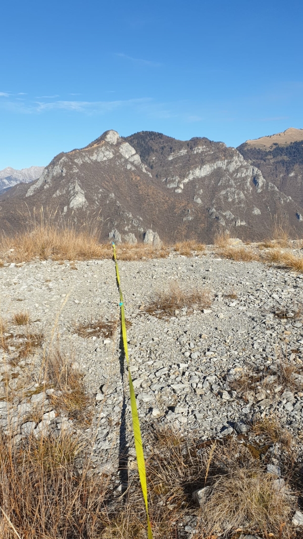 ALLINEAMENTO PROGETTO